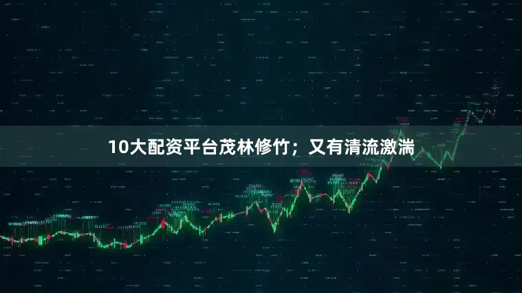 10大配资平台茂林修竹；又有清流激湍